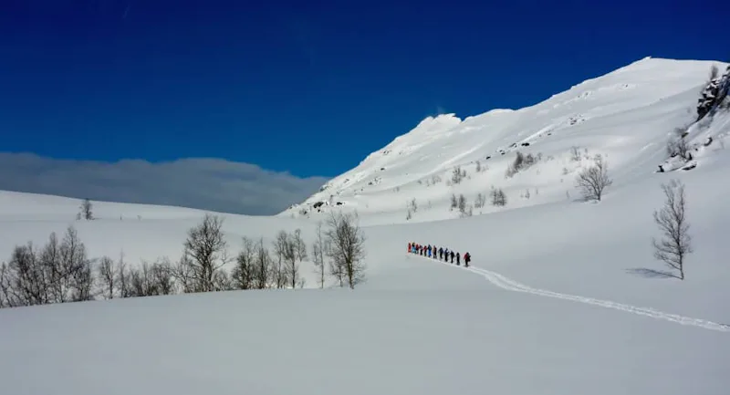 Ski touring in Narvik
