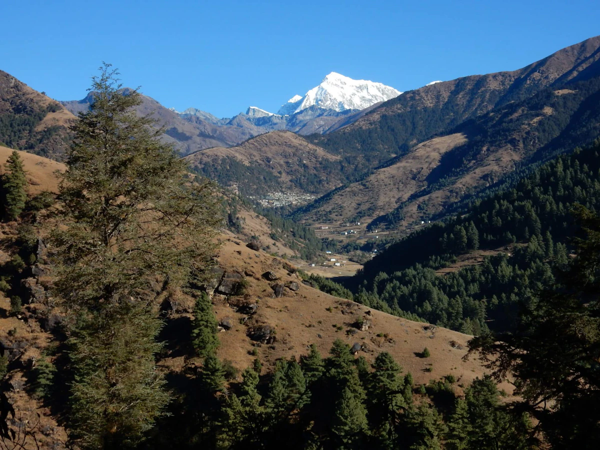 Group Trekking in Nepal