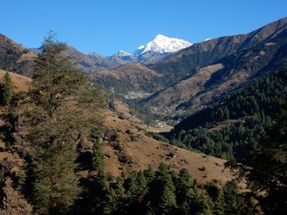 Group trekking in Nepal with a guide