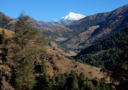 Group trekking in Nepal with a guide
