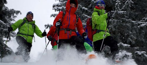 Half-day snowshoeing tour in Gressoney, Monte Rosa