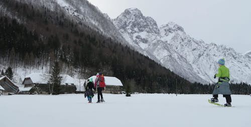 1-day Mojstrana snowshoeing tour