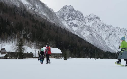 1-day Mojstrana snowshoeing tour