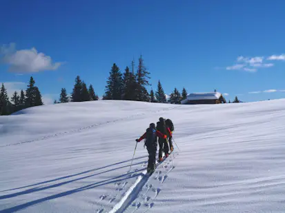 Excursión Guiada de Esquí de Travesía en Val di Fassa