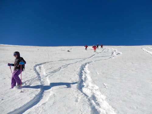 6-day snowshoeing tour around the Hautes Alpes