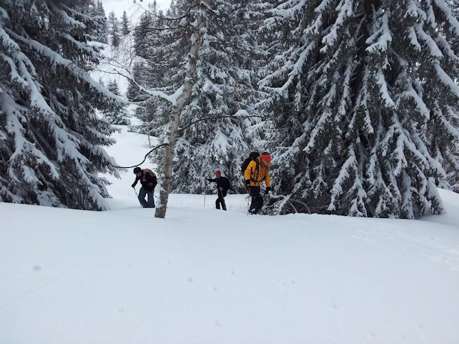 Snowshoeing in the Hautes Alpes