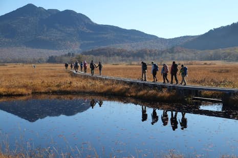 1-day Oze National Park hiking tour, in Japan