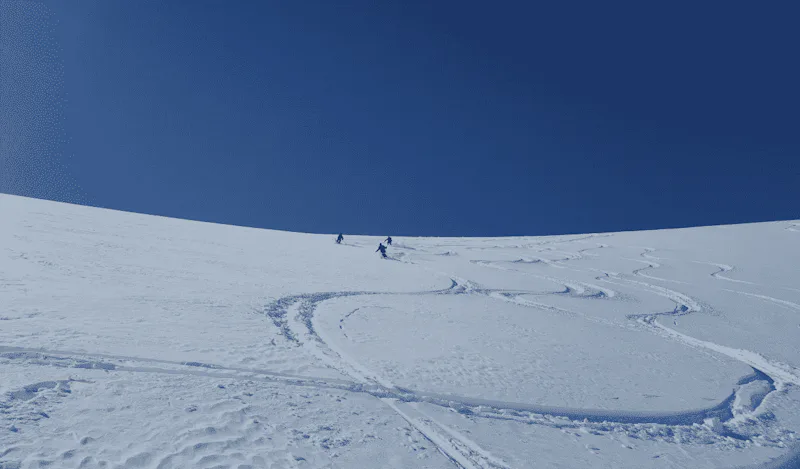 Zermatt 203