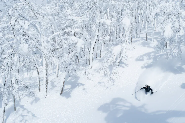 Ski in Hokkaido


