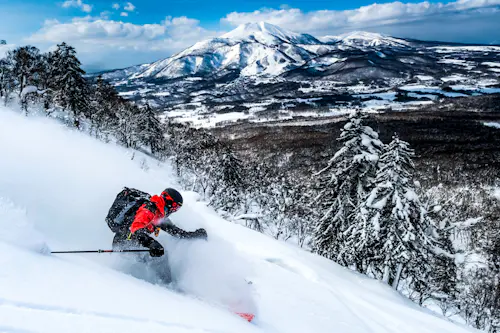 Road Trip de Freeride y Esquí de Travesía en Hokkaido