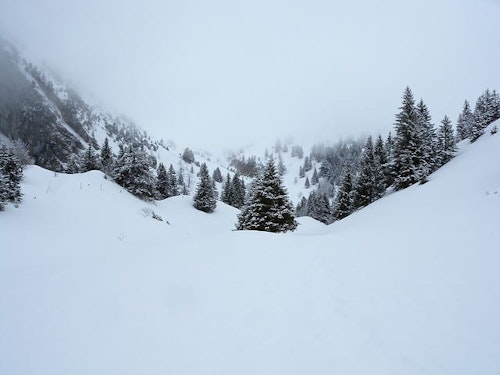 Val d’Aran Guided 2-Day Heliski, Snowshoe, Ski Tour