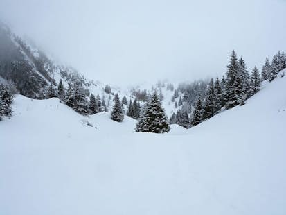 Val d’Aran Guided 2-Day Heliski, Snowshoe, Ski Tour