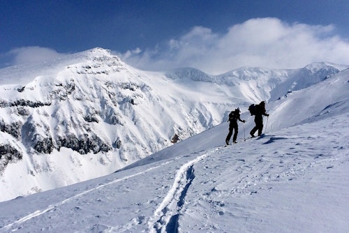 3-day Niseko backcountry skiing (with Mt. Yotei)