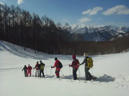 Half-day snowshoe hike in Minakami