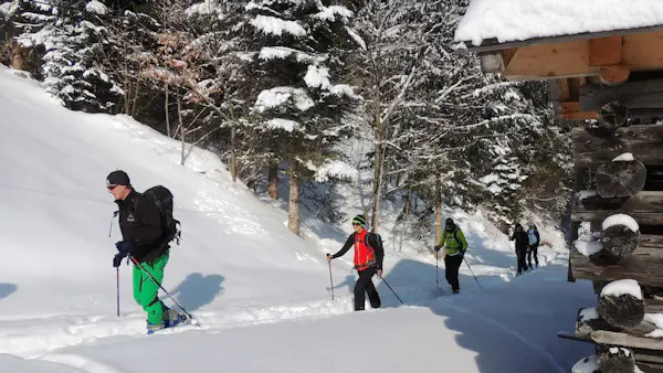 Ski touring 1-day basic course in Lesachtal | Austria