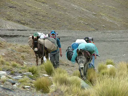 Trek de 4 jours à Maria Lloco, Bolivie