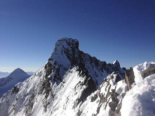 Bernina peaks 5-day climbing tour