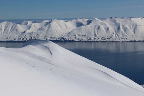 Programme de ski de randonnée de 8 jours en Islande