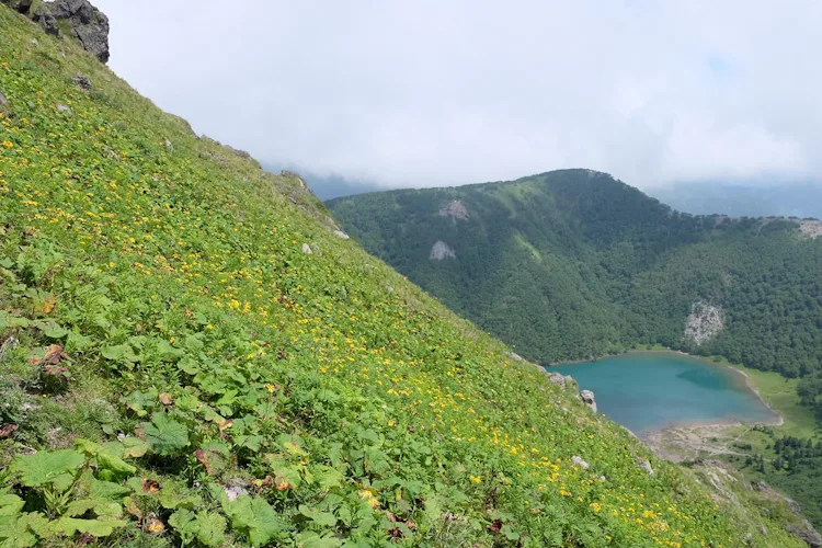 1-Day Hiking to Mt. Nikko Shirane