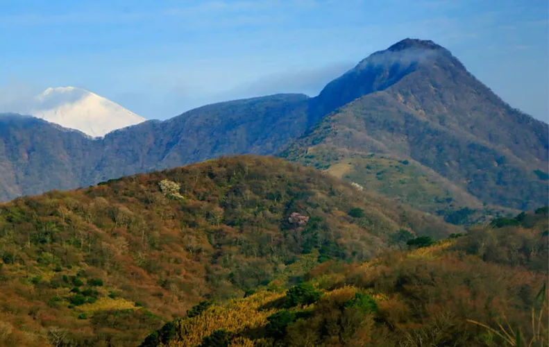 Mt Kintoki Fuji Hakone Izu National Park