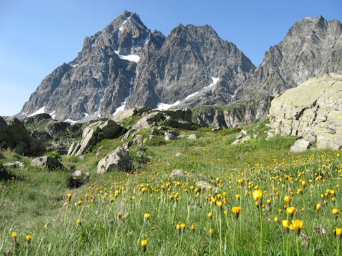 2-day ascent to Mount Viso summit