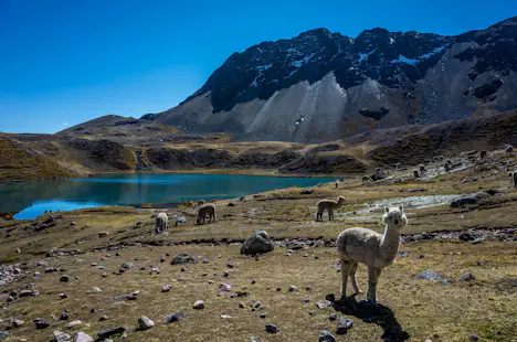 One week Ausangate Trek with a guide
