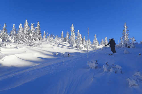 Giant Mountains ski touring from west to east