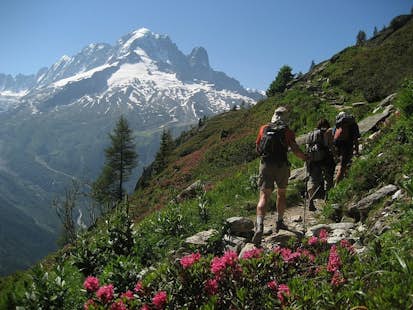 Chamonix and Mt Blanc valley hiking tour