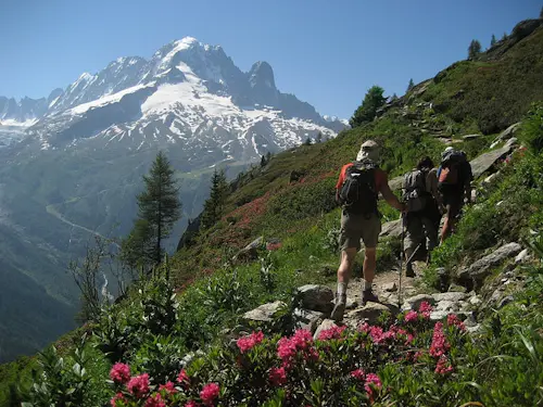 Randonnée dans la vallée de Chamonix et du Mt Blanc