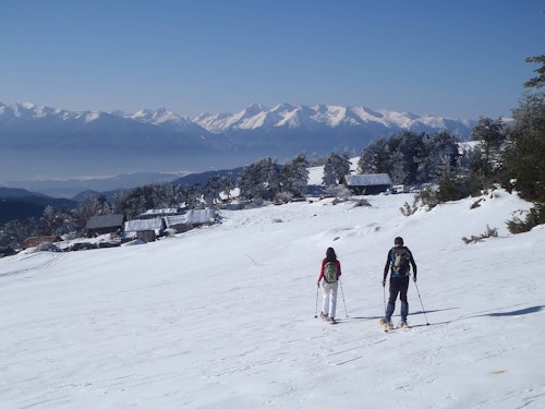 Rhodopes, Bulgaria 6-day guided snowshoeing trip