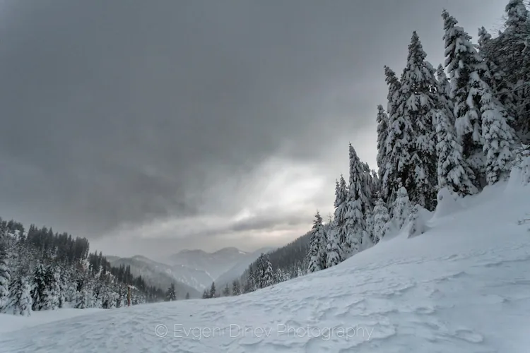 Rhodopes, Bulgaria 6-day guided snowshoeing trip