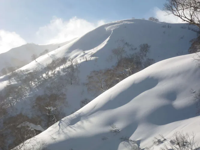 1-7 days Sapporo Based Backcountry Skiing