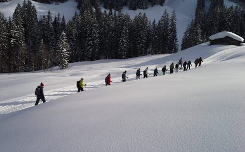 Saalbach Hinterglemm guided snowshoeing