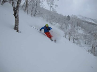 Freeride et ski de randonnée à Hokkaido