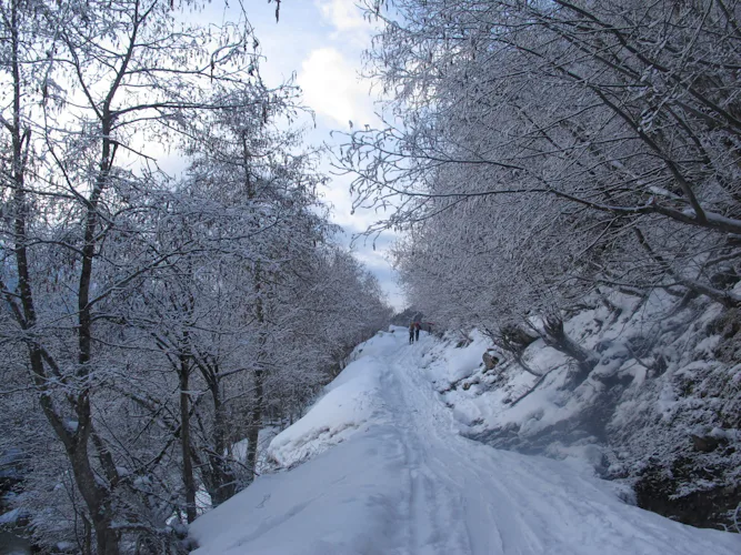 Mount Kazbek guided 11-day ski tour