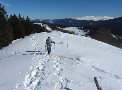 Jura 4-day snowshoeing guided tour