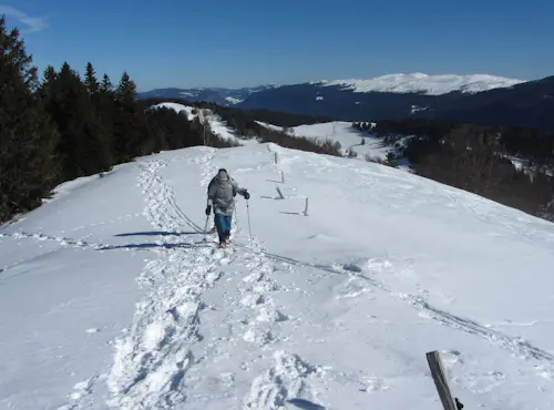 Circuit avec un guide de 4 jours en raquettes à neige dans le Jura