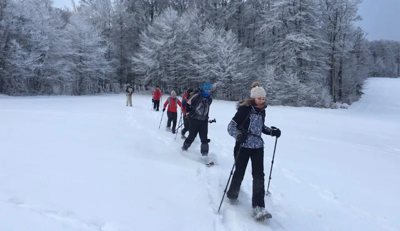 Les Vosges 2-day guided snowshoeing hike