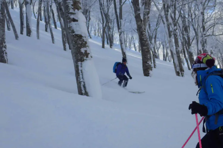 Freeride skiing in Nozawa Onsen