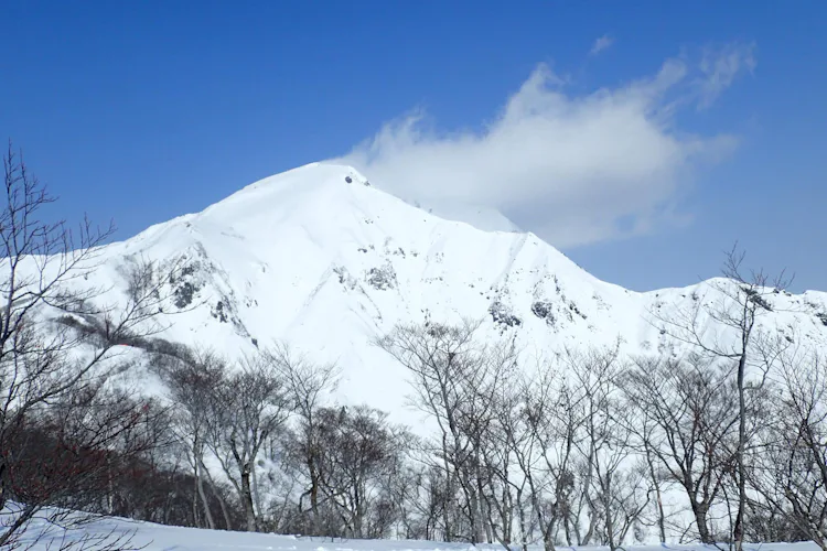 Freeride skiing in Niigata / Gunma with a local IFMGA guide