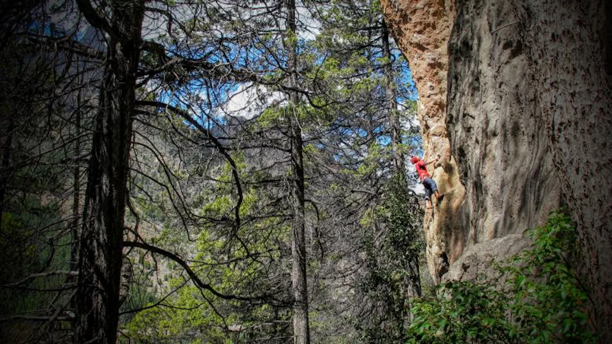 Introductory sport climbing half day trip in Bariloche | Argentina