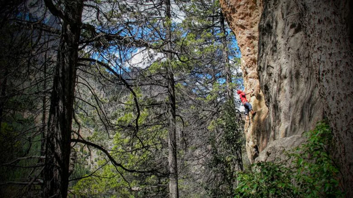 Introducción a la escalada deportiva medio día en Bariloche | Argentina