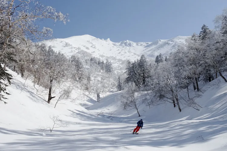 Powder Skiing Asahikawa