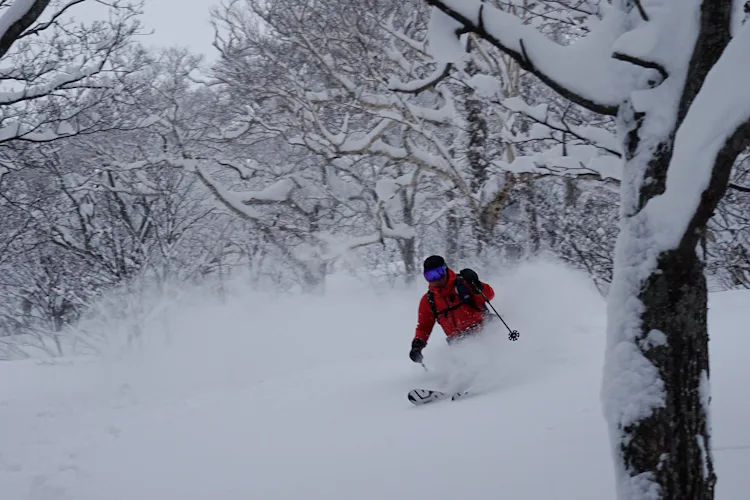 Ski Touring in Harukayama, Hokkaido