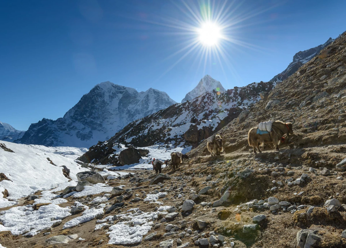 Everest Base Camp guided hiking tour