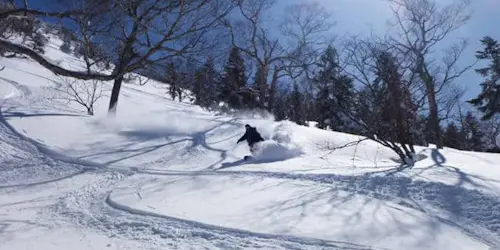 Backcountry Skiing in Gunma and Niigata