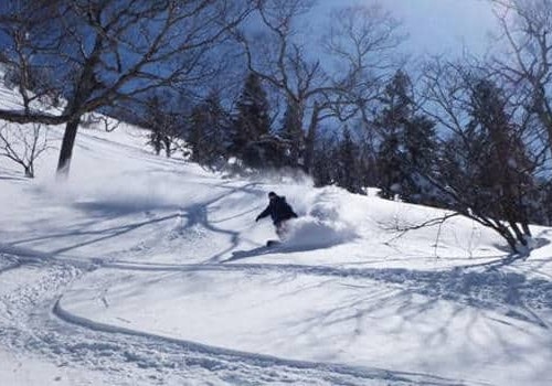 Backcountry Skiing in Gunma and Niigata
