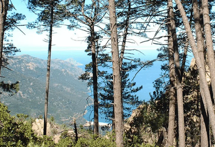 Hiking in Corsica, from the mountain to the sea