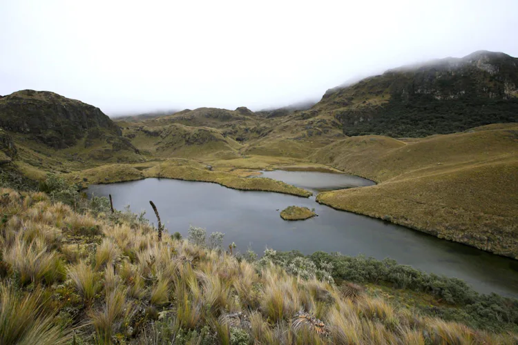 Inca Trail, a 5-day historical adventure