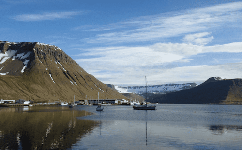 Trekking and sailing in Hornstrandir